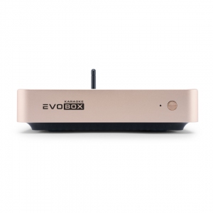 EVOBOX Plus караоке-система для дома в Новгородской области