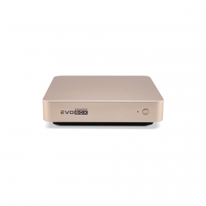 EVOBOX с микрофонами в Новгородской области